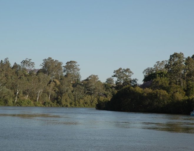 View of Brisbane River and bush from Horace Window Reserve in Corinda
