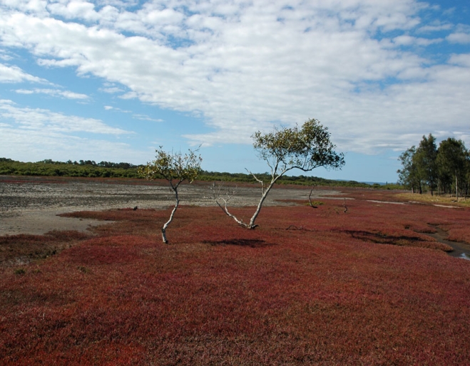 Red look landscape inside Point Halloran Reserve Walk Victoria Point