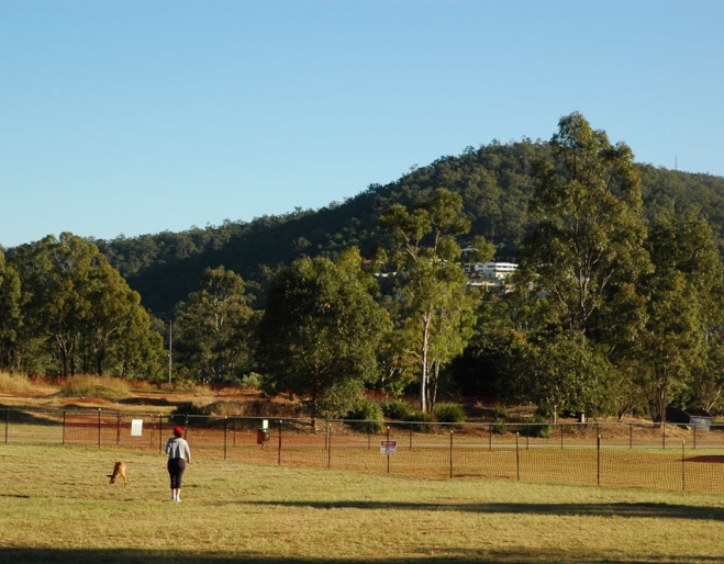 Dogs and owners in Sunset Dog Park Ashgrove