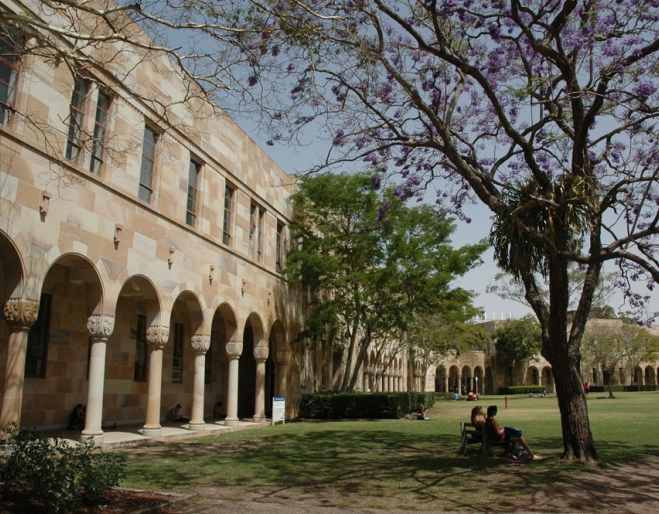Students sitting under a tree in the University of Queensland's forecourt in St Lucia