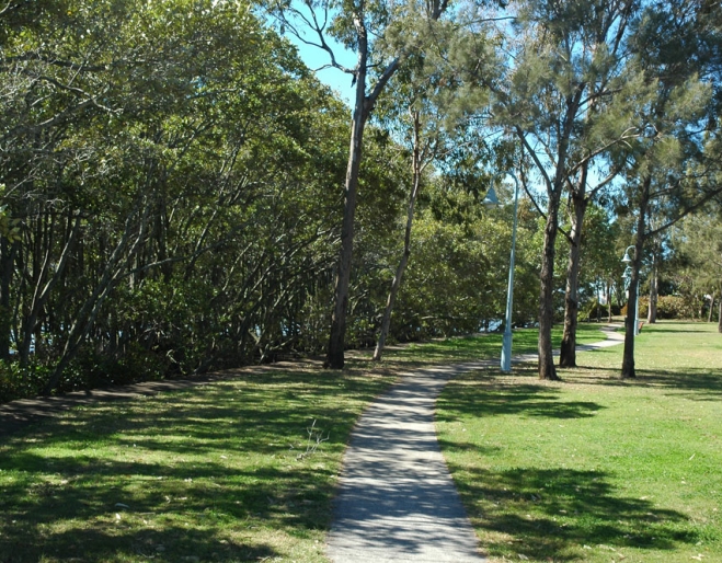 Footpath next to mangroves inside Vic Lucas Park in Bulimba 