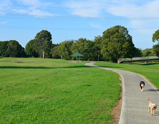 Schuster Park