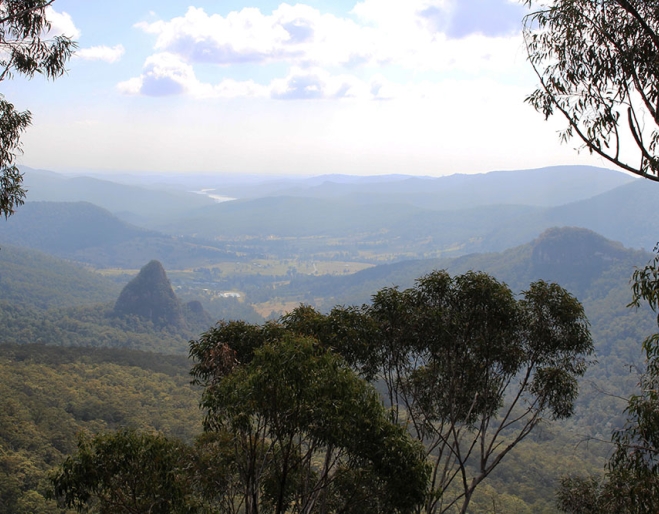 Bellbird Lookout Walk Binna Burra Lamington Park