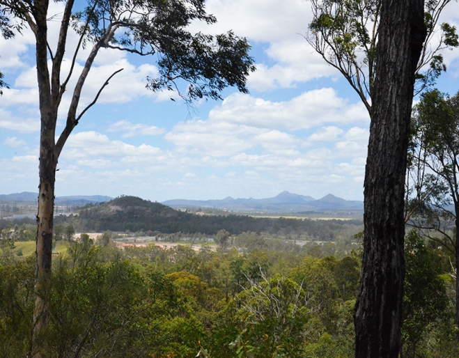 Castle Hill Blackstone Reserve Ipswich