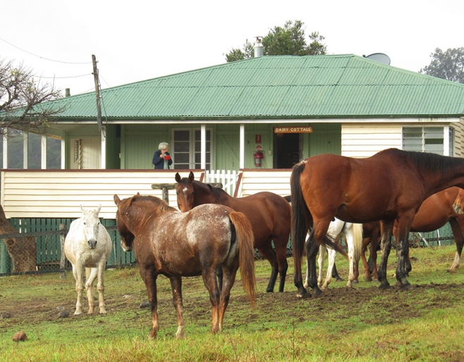 Cedar Glen Farmstay Darlington