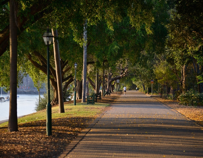 Top Things to do and See in Brisbane