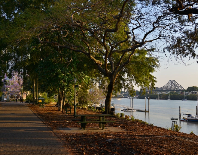 Brisbane Botanic Gardens 