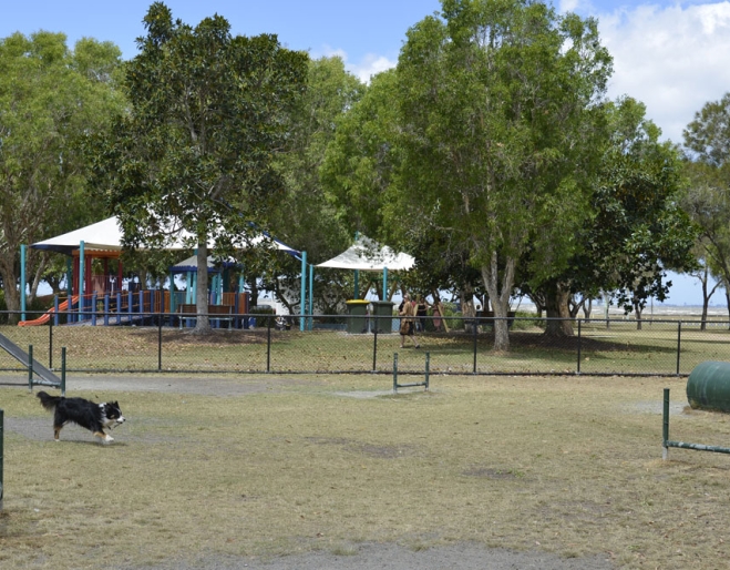 Dog running in off leash dog park in front of playground in Decker Park Brighton