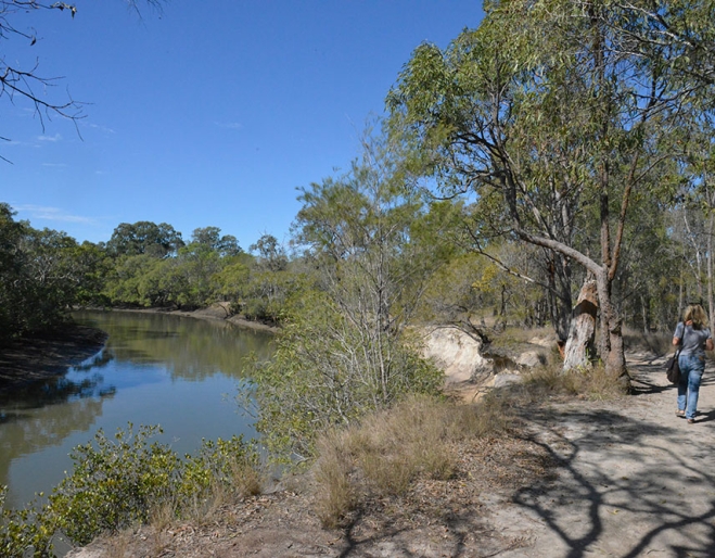 Eprapah Creek Walk Victoria Point