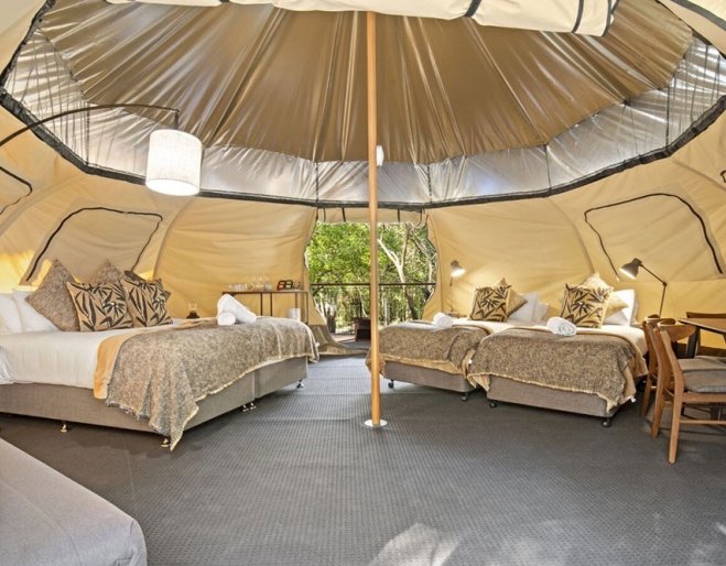 Woodlands Family Tent Tamborine Mountain Glades
