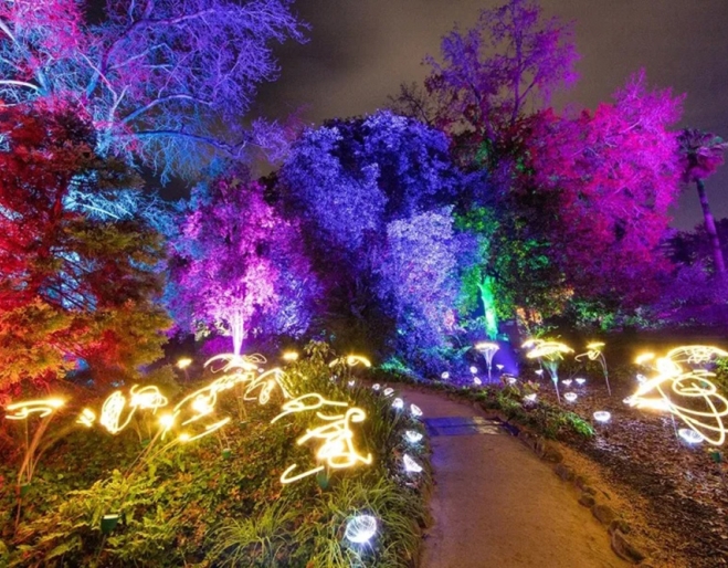 Light garden at Sirromet