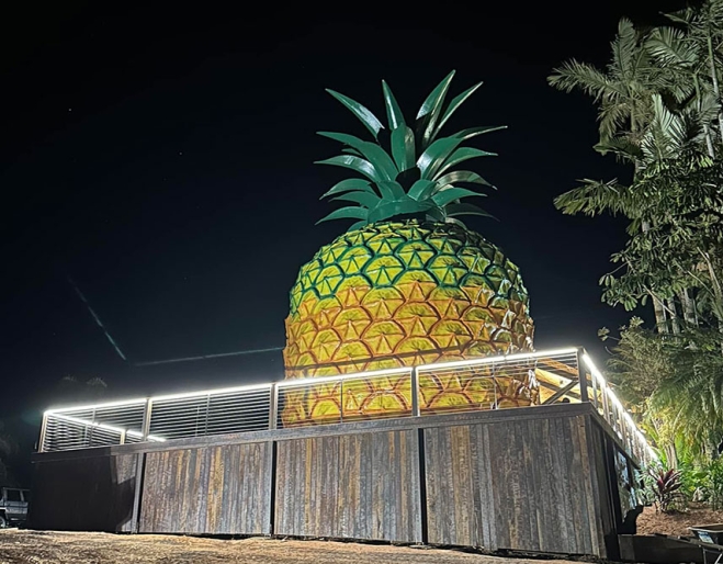 The Big Pineapple Woombye