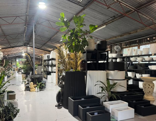 Pot plants inside Bush House Home & Garden Market