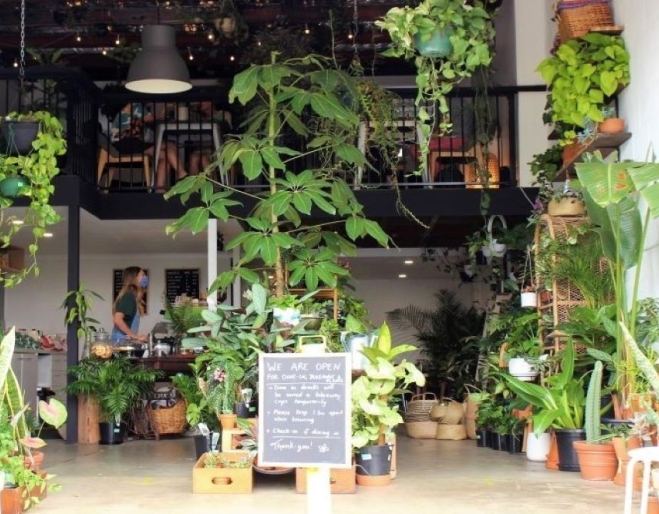 Epilo, Woolloongabba, plants, coffee  