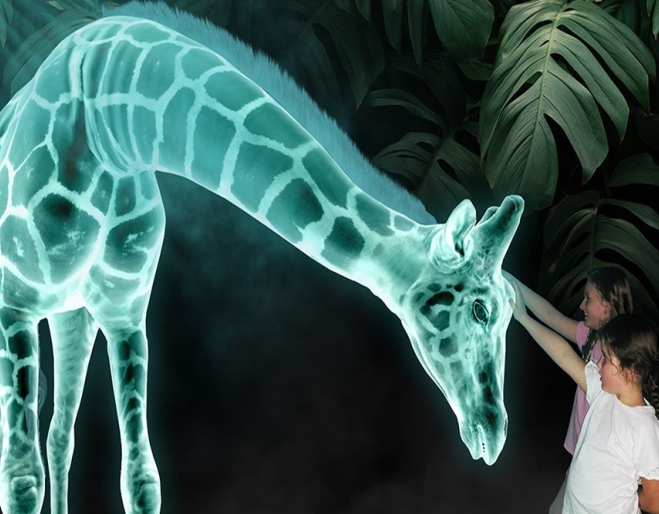 Hologram Zoo 