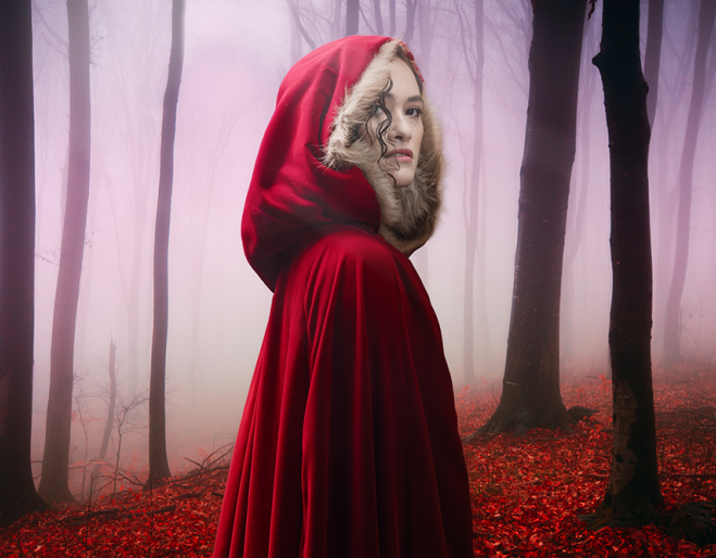 Into The Woods