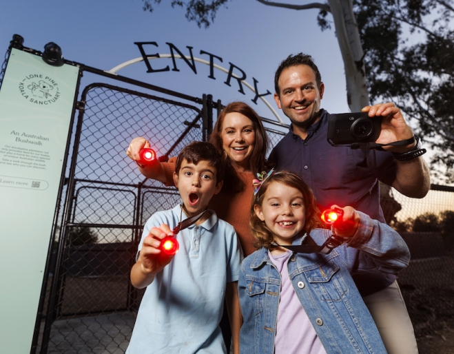 Lone Pine Koala Sanctuary's Nocturnal Tours