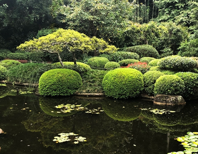 Japanese Gardens, Mt Coot-tha Botanic Gardens, Brisbane
