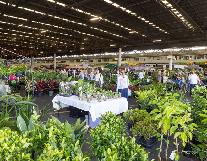 Customers looking at plants at the Plantapalooza Plant Festival