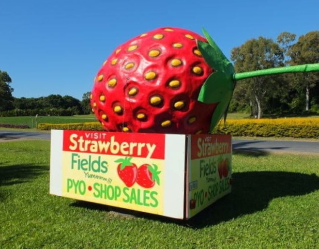 Strawberry Fields, Palmview 