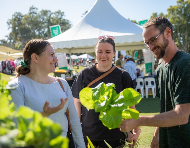 Sustainable BNE Festival - Hero 