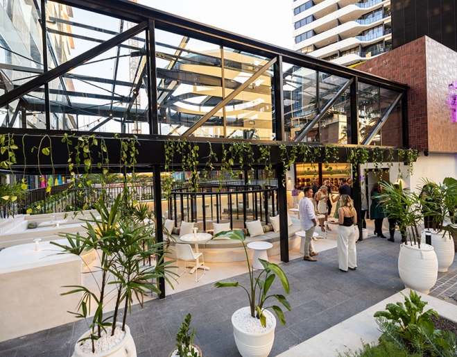 Purple Palm Woolloongabba