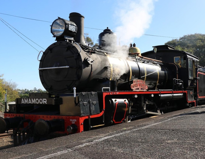 Wizard Express Mary Valley Rattler at station