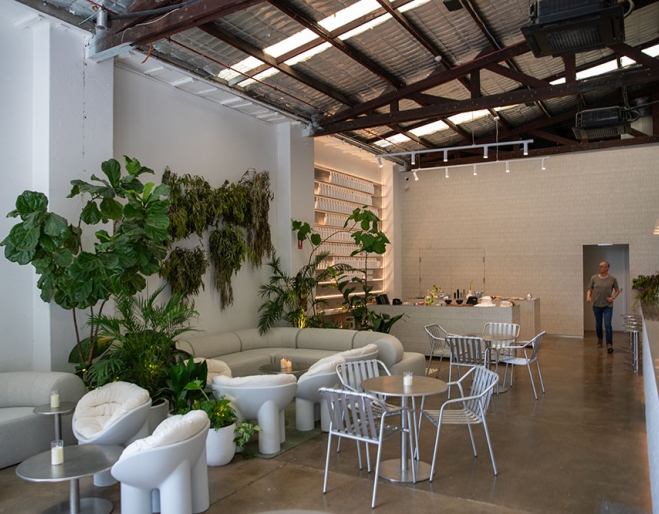 Plants & chairs inside BY. Artisans 