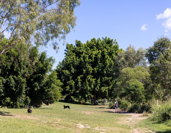 Kedron Brook Dog park
