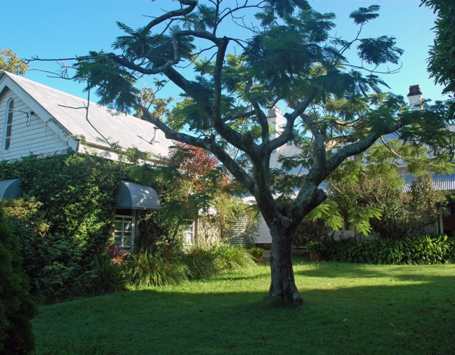 Granite House building and front yard in Ashgrove