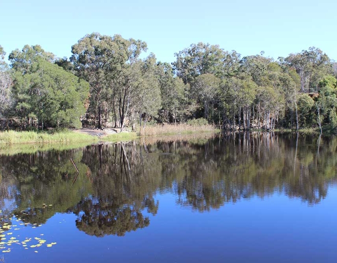 Hemmant Quarry Reserve, Hemmant