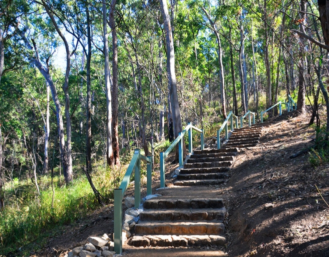 Spotted Gum Trail, Mt Coot-Tha Forest, Brisbane, bushwalking, bushwalkers, eucalypt bushland, Toowong, Queensland
