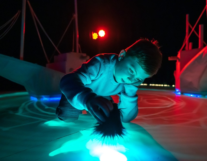 Child looking at sea creature