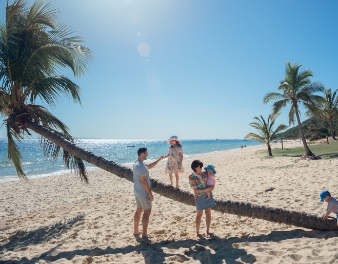 Family on a palm tree at Tangalooma Island