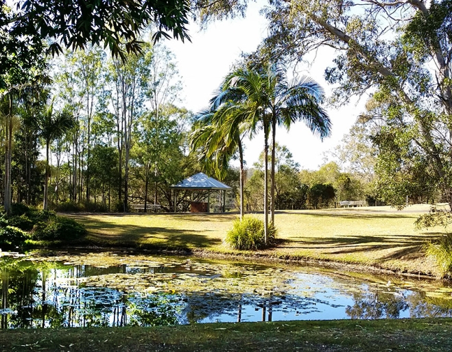 Lake at Kholo Botanic Gardens Pine Mountain
