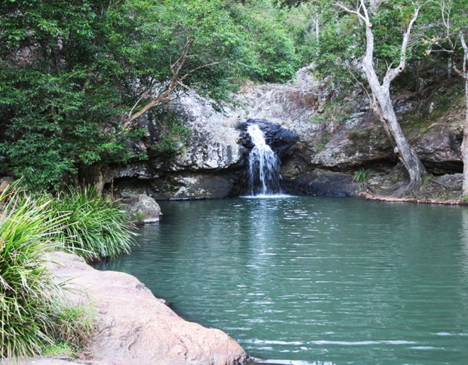 Kondalilla Falls National Park