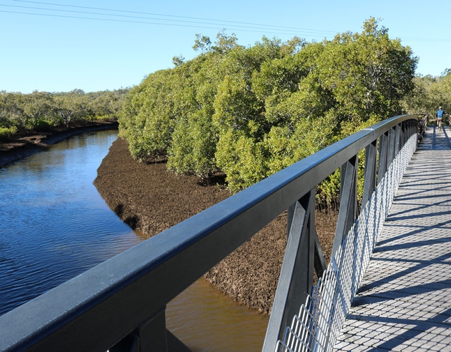 Lota Creek Boardwalk