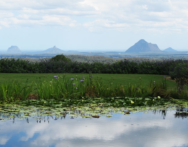 Lake with with the Glasshouse Mountains in the background at Maleny Botanic Gardens & Bird World