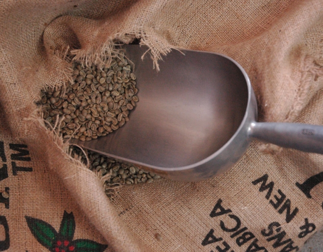 Scoop inside bag of unroasted coffee beans.