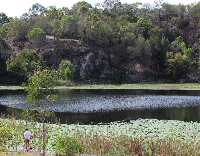 Old-Quarry Daisy Hill