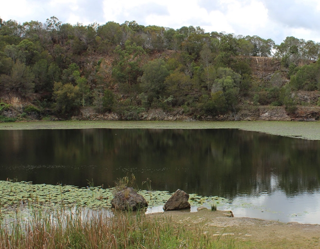 The Old Quarry Daisy Hill is