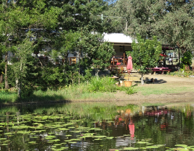 Pond & garden at The Place 2 B Cafe Delaneys Creek