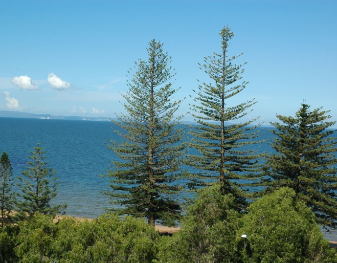 View of Scarborough Beach from balcony of Scarborough Beach Resort Queensland.