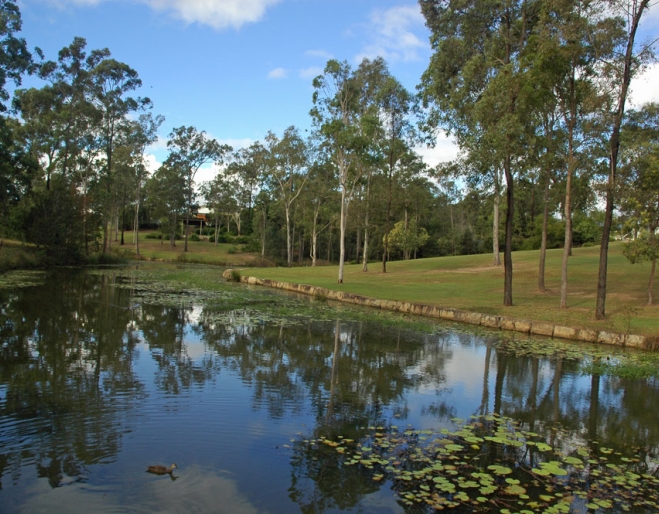pond surrounded by parlaknd inside Spring Lake Park in Springfield Lakes
