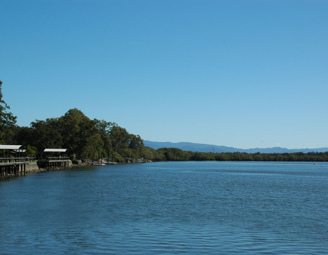 Creek and bush in Tinchi Tamba Wetlands in Bald Hills