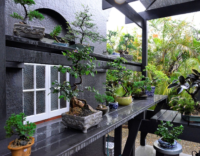 Tiny Tree Café Coorparoo