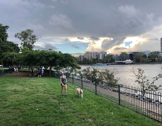 Person walking dog by the river at the West End Dog Park, Brisbane