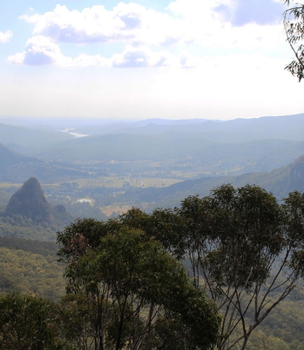 Bellbird Lookout Walk Binna Burra Lamington Park
