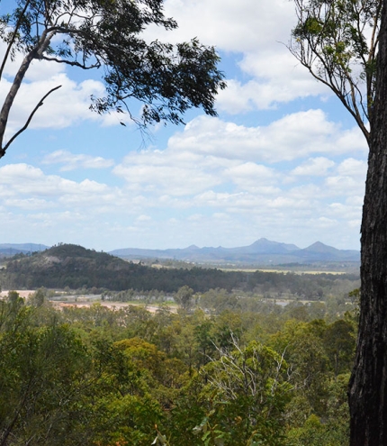 Castle Hill Blackstone Reserve Ipswich