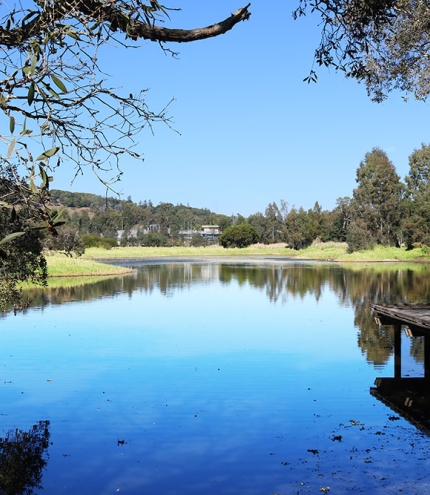 Eagleby Wetlands 